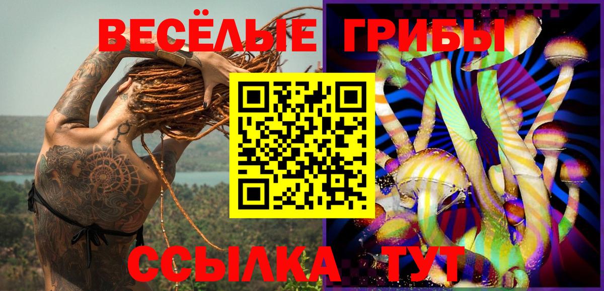 Лыткарино  Галлюциногенные грибы ЛСД  Галлюциногенные грибы Cubensis  Вход с VPN 