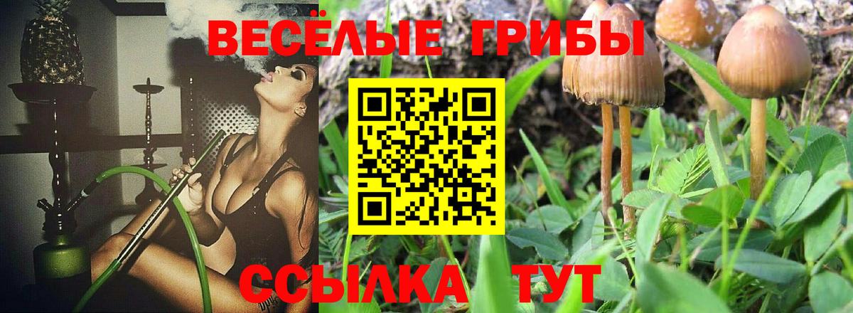 Галлюциногенные грибы Cubensis Лыткарино